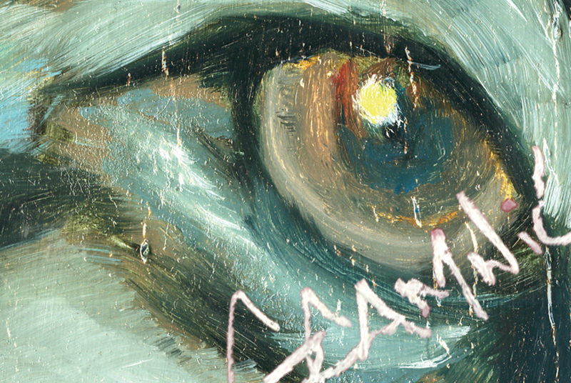 earth summit 2012 Vancouver gcamwil BC local artist Garett Campbell Wilson